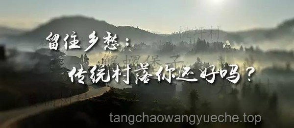 “庄大下线”：《藏海传》剧情转折点的深度剖析